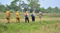 DPKP Kabupaten Tangerang: Ada 4.747 Hektare Lahan Masih Bisa Ditanami Padi